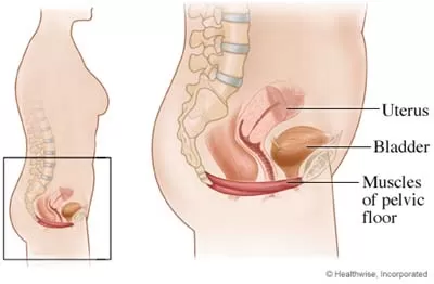 Maintaining a Healthy and Strong Pelvic Floor