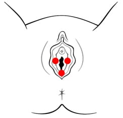 Mississauga Pelvic Health