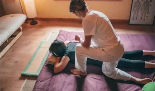 The Roles of Physiologists and Physiotherapists in Healthcare