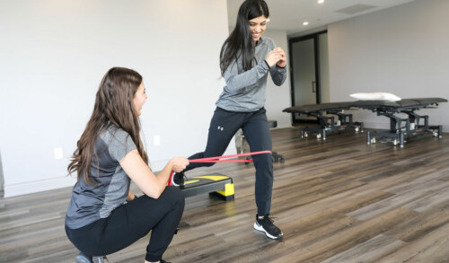 Physiotherapy Vs. Chiropractic – Which is Better for Me?