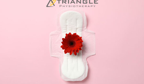 Pelvic Health – Menstrual Cup Vs. Menstrual Disc