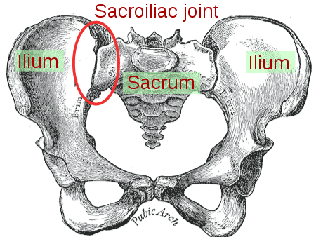 Pelvic Girdle Pain