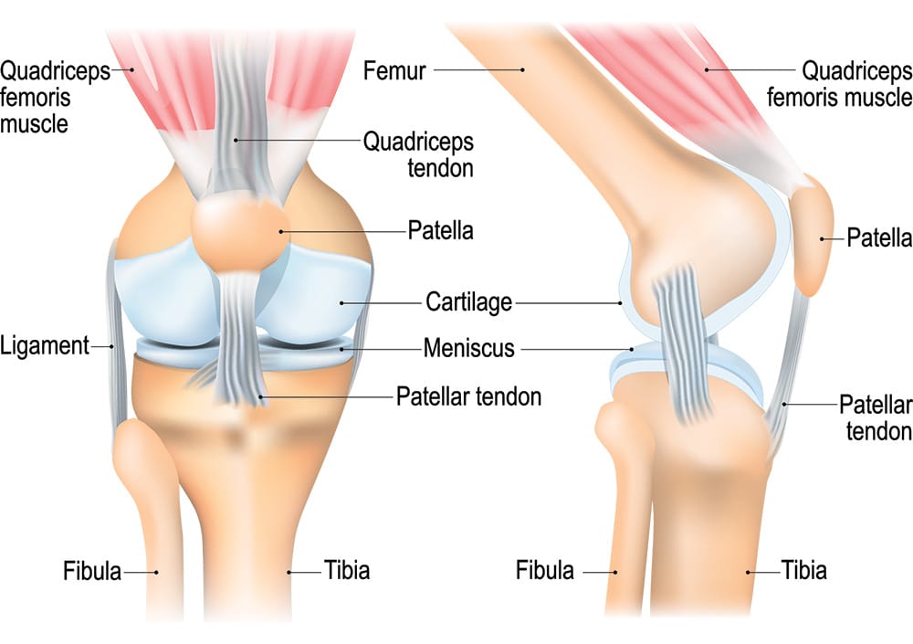 Knee Pain Oakville